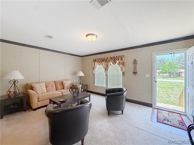 Welcome home to your own private retreat in Homosassa! Nestled - photo 8