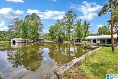 The coziest 3 bedroom 2bath home on the Black Warrior River - photo 6
