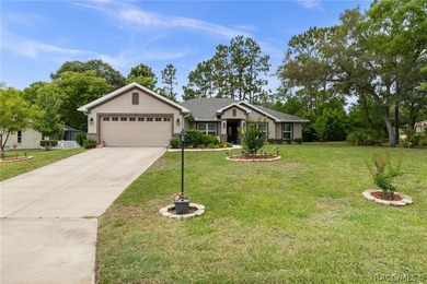 This 2019 home with 4 bedrooms, 2 baths, on a large corner lot - photo 2