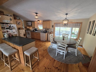 Check out this fully remodeled 3-bed, 2-bath home with a heated - photo 3