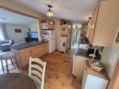 Check out this fully remodeled 3-bed, 2-bath home with a heated - photo 4