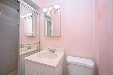 Legal semi-detached 2-family home in desirable Whitestone - photo 12