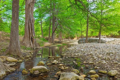 Located just 30+/- minutes from historic Fredericksburg, this - photo 12