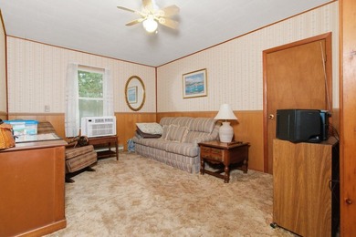Welcome to 121 Paula Avenue in Peel, Arkansas -- a cozy and - photo 14