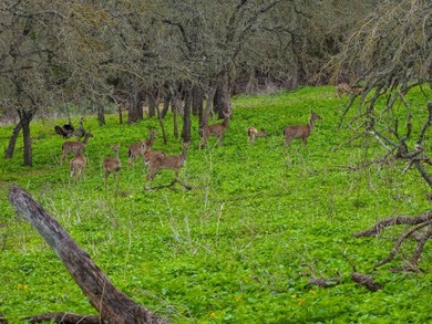 Located just 30+/- minutes from historic Fredericksburg, this - photo 15
