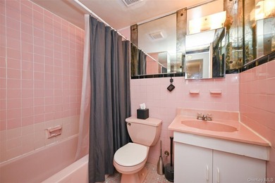 Legal semi-detached 2-family home in desirable Whitestone - photo 19