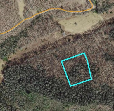Lake Nantahala Lot For Sale in Nantahala North Carolina