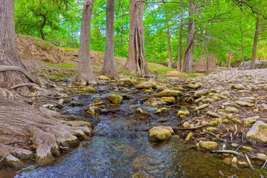 Located just 30+/- minutes from historic Fredericksburg, this - photo 21