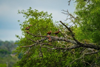 Located just 30+/- minutes from historic Fredericksburg, this - photo 29