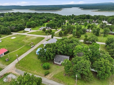 Welcome to 121 Paula Avenue in Peel, Arkansas -- a cozy and - photo 31