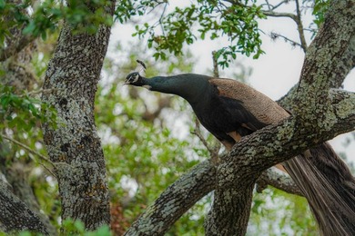 Located just 30+/- minutes from historic Fredericksburg, this - photo 36