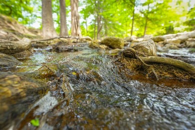Located just 30+/- minutes from historic Fredericksburg, this - photo 38