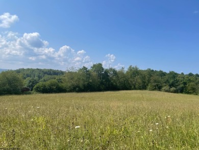  Acreage For Sale in Philippi West Virginia