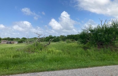 Nice half acre homesite. Less that 3 miles to Walmart and HEB - photo 1