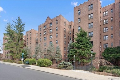 Welcome to *The Kenilworth*! 500 square feet in a pre-war