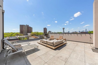 At the crossroads of Bed-Stuy's timeless brownstone elegance and - photo 27