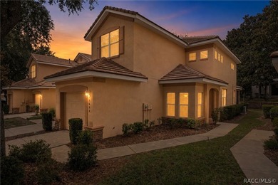 Maintenance-free living in the heart of Florida's Nature Coast - photo 1