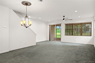 Maintenance-free living in the heart of Florida's Nature Coast - photo 8