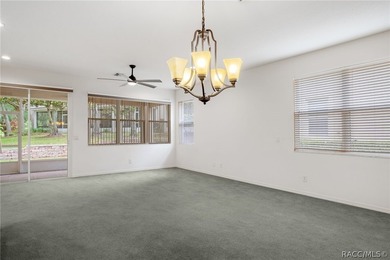 Maintenance-free living in the heart of Florida's Nature Coast - photo 9