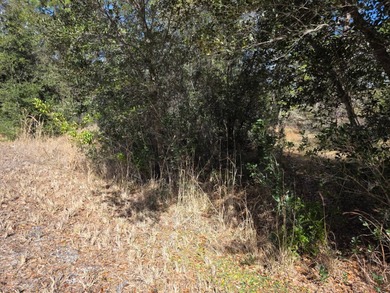 Lake Clay Lot For Sale in Lake Placid Florida