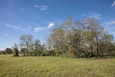 (private lake, pond, coastal) Acreage For Sale in Sealy Texas
