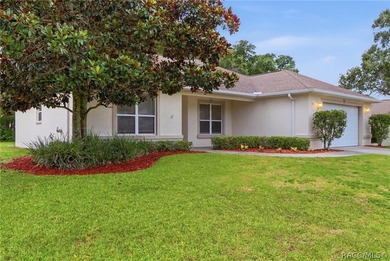 Very well-maintained 3-bed, 2-bath home in Sugarmill Woods - photo 4