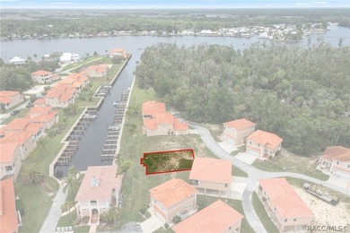 Rare Waterfront Lot Opportunity in Tradewinds at Homosassa! - photo 3