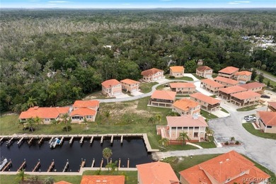 Rare Waterfront Lot Opportunity in Tradewinds at Homosassa! - photo 4