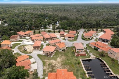 Rare Waterfront Lot Opportunity in Tradewinds at Homosassa! - photo 6