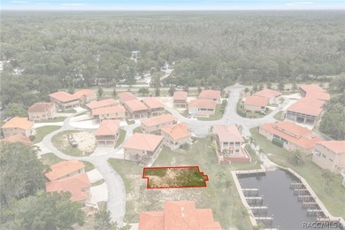 Rare Waterfront Lot Opportunity in Tradewinds at Homosassa! - photo 7