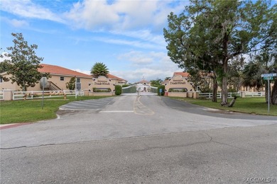 Rare Waterfront Lot Opportunity in Tradewinds at Homosassa! - photo 10