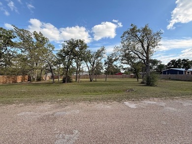 Somerville Lake Lot For Sale in Somerville Texas
