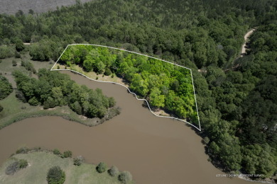 2 + ACRES WATERFRONT IN LAKE EDDINS - Lake Acreage For Sale in Pachuta, Mississippi