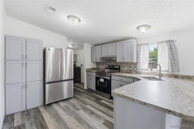 Welcome to this extensively renovated 4-bedroom, 2-bath home - photo 4