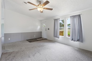 Welcome to this extensively renovated 4-bedroom, 2-bath home - photo 6