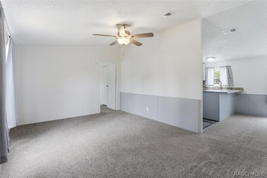 Welcome to this extensively renovated 4-bedroom, 2-bath home - photo 8