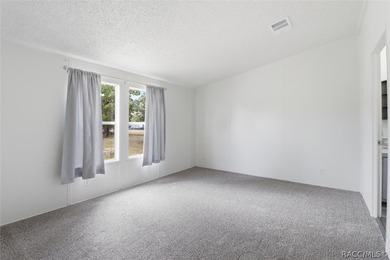 Welcome to this extensively renovated 4-bedroom, 2-bath home - photo 9