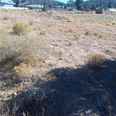 777 Old Pioneer Town Rd - photo 12