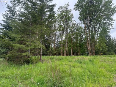 Nehalem River Lot For Sale in Vernonia Oregon