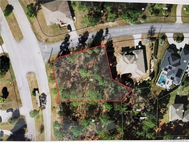 Oversized .40 acre CORNER lot in Sugarmill Woods Cypress - photo 1