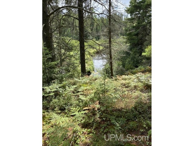 (private lake, pond, creek) Acreage For Sale in Ishpeming Michigan