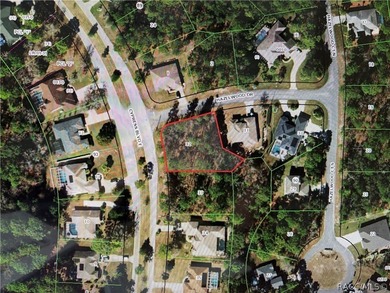Oversized .40 acre CORNER lot in Sugarmill Woods Cypress - photo 2