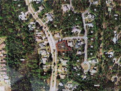 Oversized .40 acre CORNER lot in Sugarmill Woods Cypress - photo 3