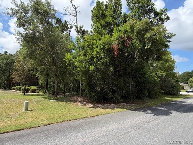 Oversized .40 acre CORNER lot in Sugarmill Woods Cypress - photo 4