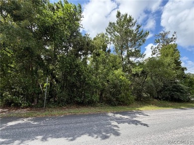 Oversized .40 acre CORNER lot in Sugarmill Woods Cypress - photo 5