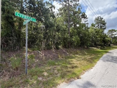 Oversized .40 acre CORNER lot in Sugarmill Woods Cypress - photo 6
