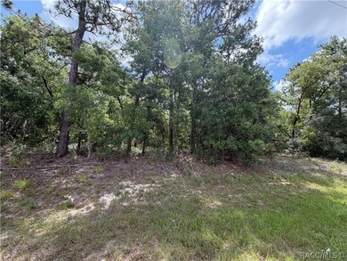 Oversized .40 acre CORNER lot in Sugarmill Woods Cypress - photo 7
