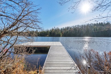 Lake Home For Sale in Lac-SupéRieur, 