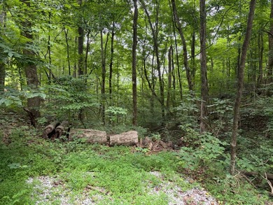 Discover your lakeside retreat on this exceptional 0.54+/- acre - photo 9