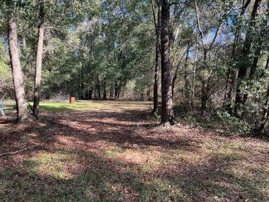 Lake Marion Lot For Sale in Summerton South Carolina
